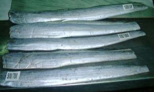 Frozen Ribbon Fish