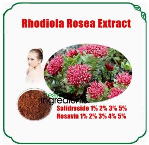Rhodiola Rosea Extract