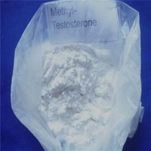 17-methyltestosterone Steroid Hormone For Bodybuilding