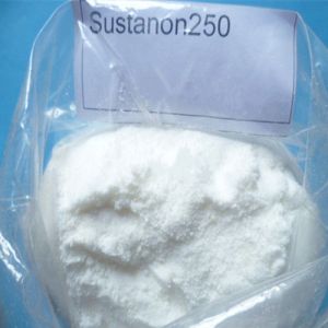 Sustanon 250 Testosterone Blend