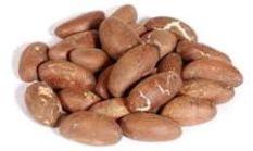 Bitter Kola Nuts