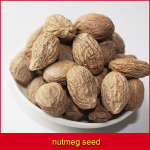 Nutmeg Seed Nutmeg Seed