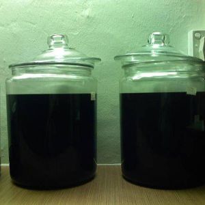 agarwood oil