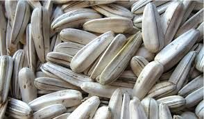 White Sunflower Seeds