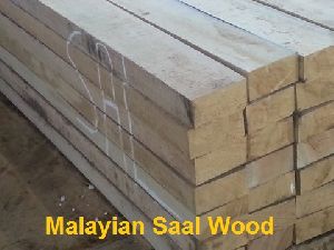 Malaysian Sal Wood