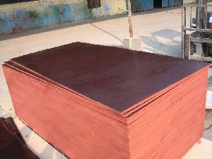 Shuttering Plywood