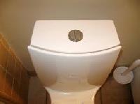 dual flush toilet