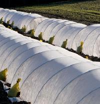 Crop Covers