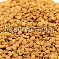 fenugreek seeds