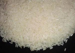 Rice - IR 36