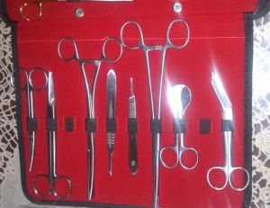 Dental Instruments