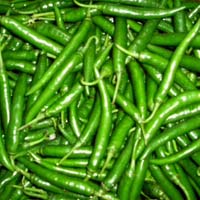 fresh green chilli