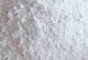 Dehydrated White Onion Powder