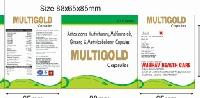 Multi Vitamin Milti Mineral Antioxident with Ginseng Capsule