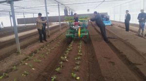 Transplanting Machine