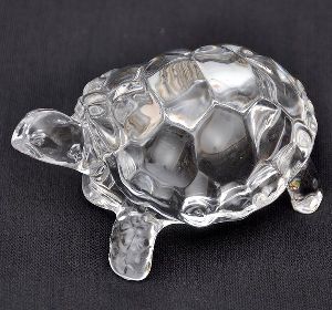 Crystal Tortoise Turtle