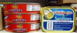Canned Tuna