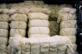 Sisal Fiber
