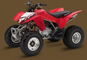 Honda TRX250X