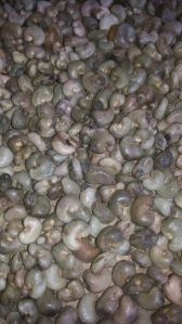 Raw Cashew Nuts