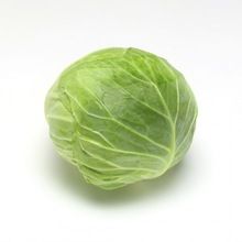 Cabbage