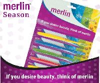 merlin - toothbrush