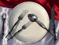 Steel Cutlery Set (SM 787)