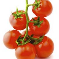 Fresh Red Cherry Tomato