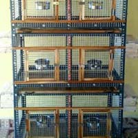8 Partitions cages for Birds, Rabbits, Pigeons...