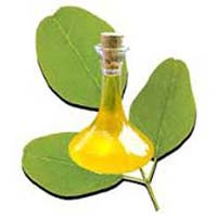 Moringa Oil