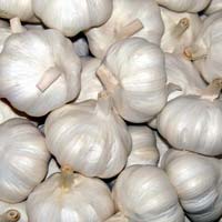 Normal White Garlic,Fresh White Normal White Garlic