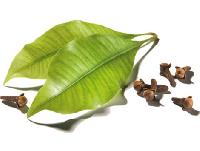 Clove Leaf Oil