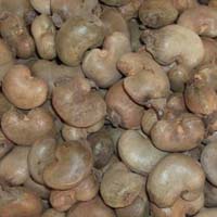 raw cashew nuts