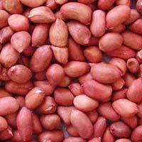 Red skin peanuts kernel