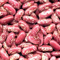 Red Speckled Kidney Beans.