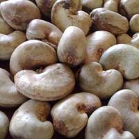 Tanzania Raw Cashew Nuts  Cashew Nuts in Shell. Tanzania Raw Cashew N