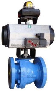 Ball Valves