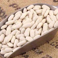 Alubia Cannellini Beans