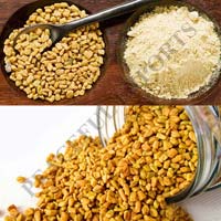 fenugreek