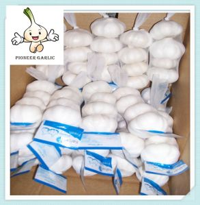 Chinese Fresh White Garlic New Crop Natural Normal White Garlic