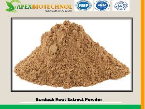 Burdock Root Extract