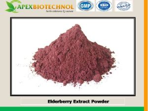 Elder Berry Extract