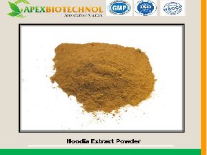 Hoodia Extract