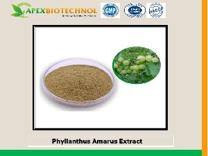 phyllanthus amarus extract