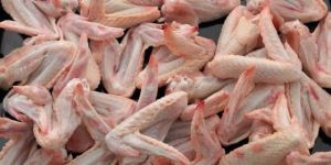 frozen chicken wings,  Purity : Healthy & Hygienic Chicken