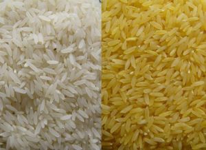 white rice