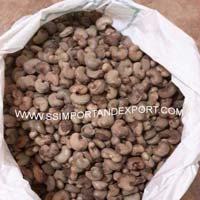 imported raw cashew nuts