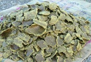 Oil Cake