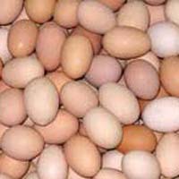 Brown & White Eggs