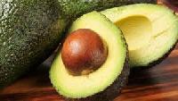 Fresh Avocado for Sale